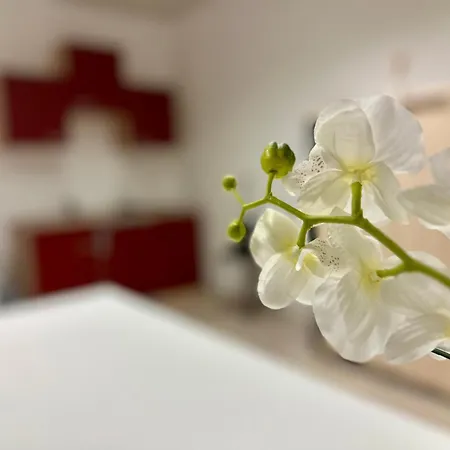 Kobra In Spielberg شقة Spielberg Bei Knittelfeld