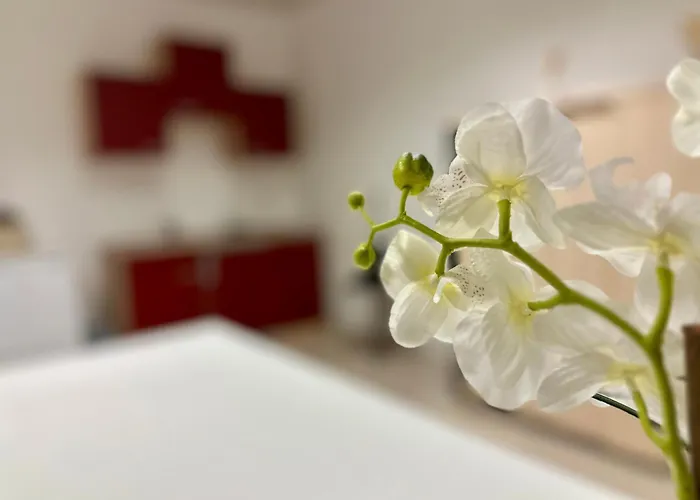 Kobra In Spielberg Apartment Spielberg Bei Knittelfeld